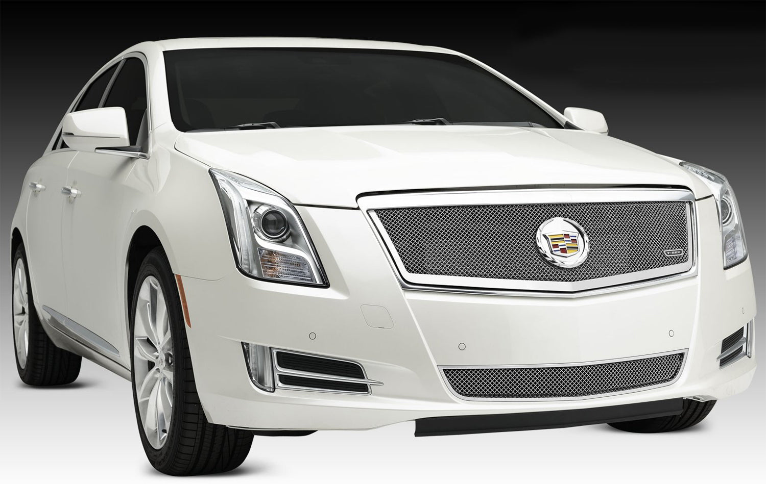 T-Rex Upper Class Mesh Grille